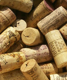 Coesfelder Winzerfest Coesfelder Winzerfest